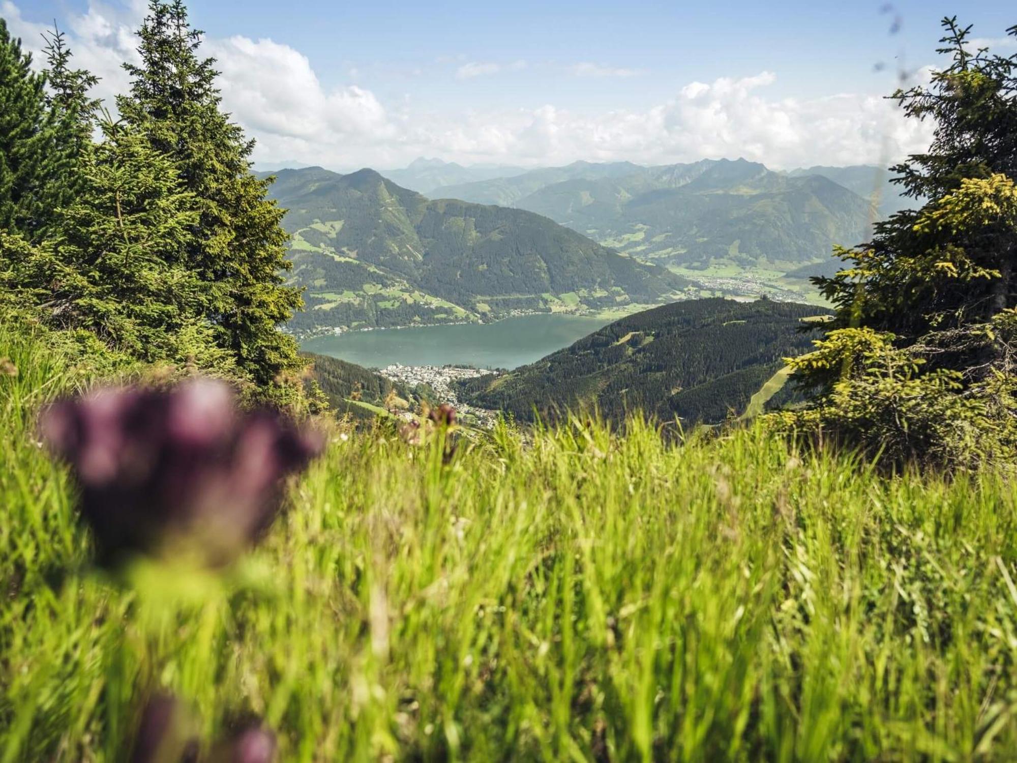 Gaestehaus Bleiweis-Zehentner Zell am See Dış mekan fotoğraf